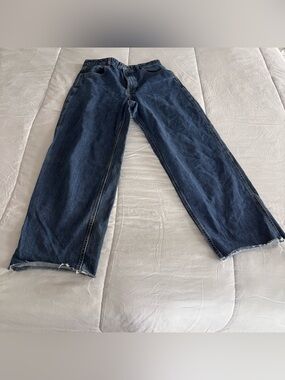 Everlane The Way-High  Wide Leg Jean size 28